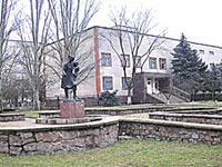 Picture