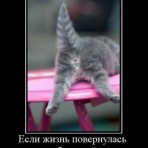 evasik