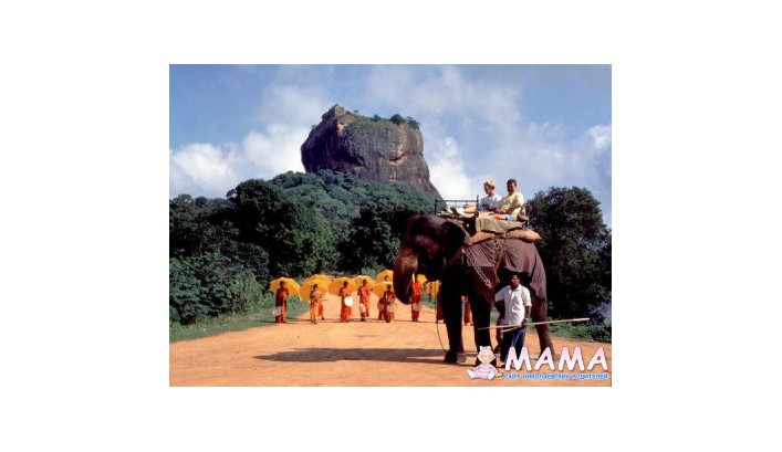 Горящие туры в Шри Ланку