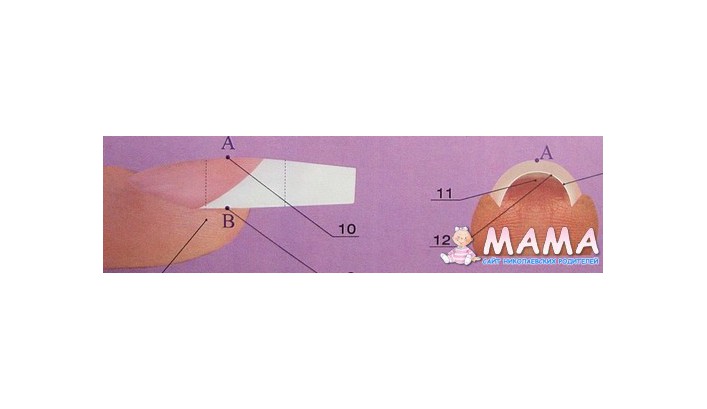 Схема правильного смоделированного арочного ногтя