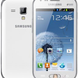 Мобильный телефон Samsung Galaxy S Duos S7562 Pure White La Fleur 