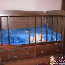 кровать детская