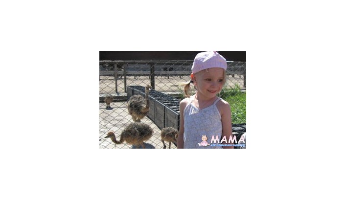 Экскурсия на страусиную ферму с детьми