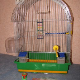 Просторная клетка с аксесуарами для попугая или двух