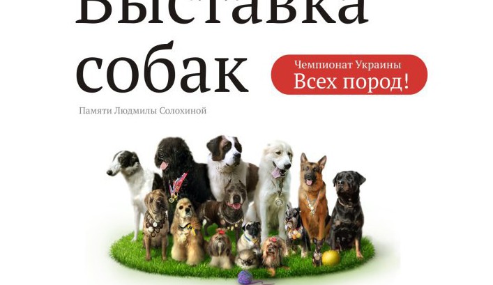 В Николаеве пройдет выставка собак