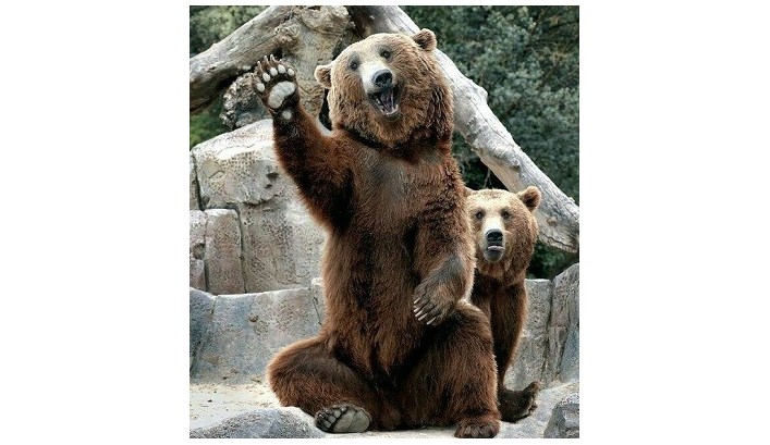 Хорошие новости: 11 мая открывается для посетителей Николаевский зоопарк