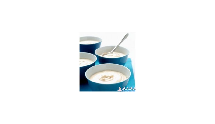 Рецепт приготовления йогурта и кисломолочных продуктов на основе заквасочных культур (заквасок)