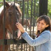 суркова катерина