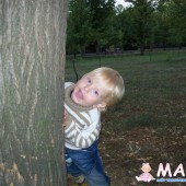 Елена Седова