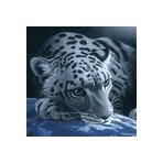 Юрий Чернихов