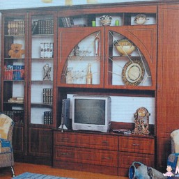 Стенка Венеция