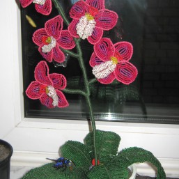 орхидея из бисера