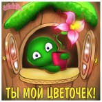 Цветочек Валика