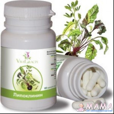 Липоклинин