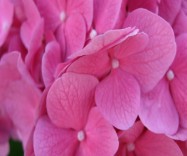 Мои товары.