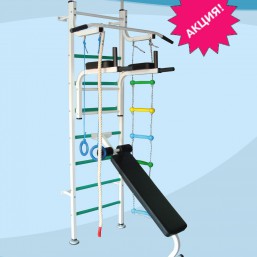 Шведская стенка СТ -  Бесплатная доставка до дома!