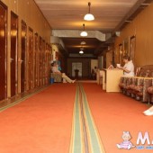 Путевки Санатори...