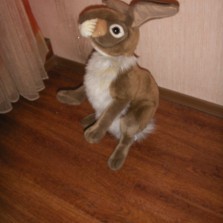 нansa заяц нansa (точная копия оригинала животного мира