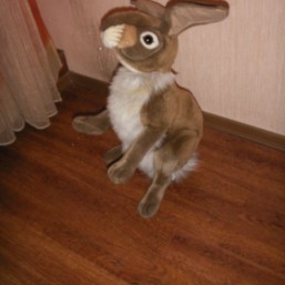 нansa заяц нansa (точная копия оригинала животного мира