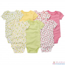 Бодики Сarters 6M