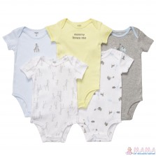Бодики Сarters 6M, 9М, 12М, 24М