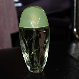 натюр,Ив Роше