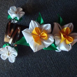 Набор резиночек для волос 