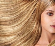 Салон Браво