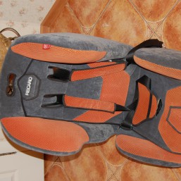 Автокресло RECARO Young Expert plus + Isofix System