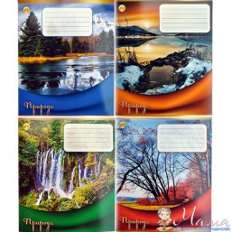 Тетрадь 48л.кл. ил. Полноцвет 15шт