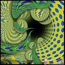 Лекции «Влияния травм развития на взрослую жизнь»