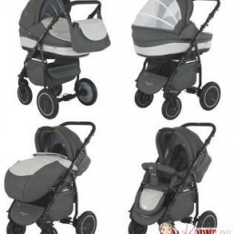 адамекс эндуро