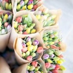 Машуня Егунова