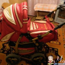 Коляска galaxy adamex