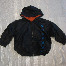 курточка ветровка на 4 года