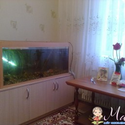 аквариум продам срочно 300 литров с тумбочкой