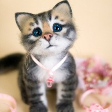 Кошачий торрент ))