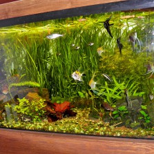 продам аквариум 500л