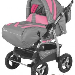 Adamax Neon Transformer