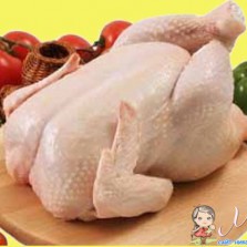 кури бройлери