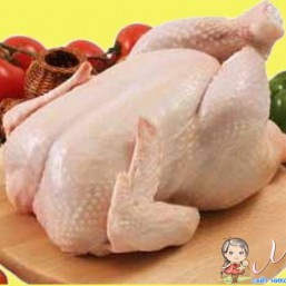 кури бройлери