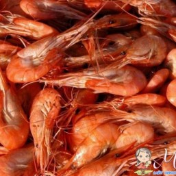 Креветка черноморская