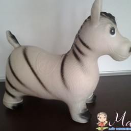 прыгун зебра