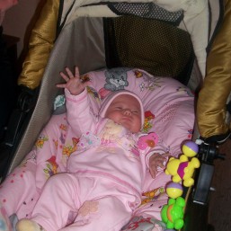 Каляска зима-лето