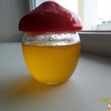 Мед домашний разнотравья