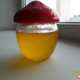 Мед домашний разнотравья