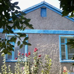 Продаю дом в с. Грейгово или меняю на квартиру в г. Николаеве