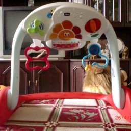 Развивающий игровой центр I-Gym Chicco 