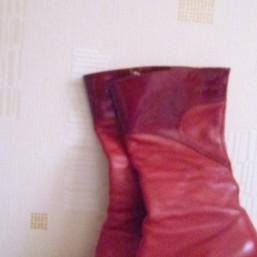 Демисезонные сапоги