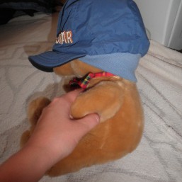 Шапка - кепка David Star